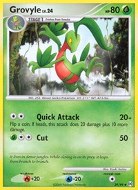 Grovyle 39