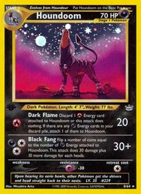 Houndoom 8
