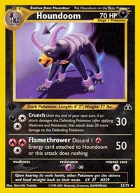Houndoom 23