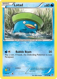 Lotad 29