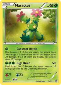 Maractus 12