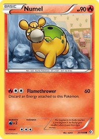 Numel 21