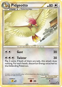 Pidgeotto 47