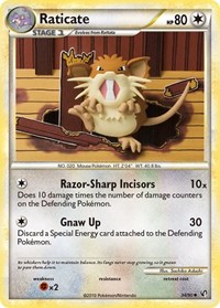 Raticate 34