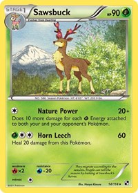 Sawsbuck 14