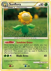 Sunflora 31
