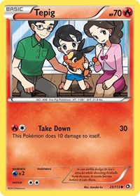 Tepig 25