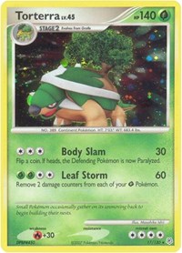 Torterra 17