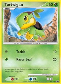 Turtwig 17