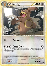 Ursaring 27