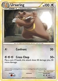 Ursaring 37