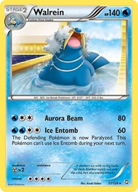 Walrein 31