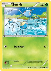 Surskit 13
