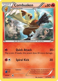 Combusken 27