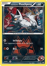 Team Magma's Poochyena 17