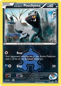 Team Aqua's Poochyena 16