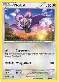 Noibat 23