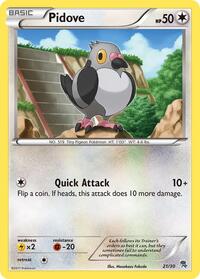 Pidove 21