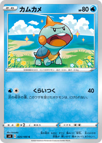 カムカメ S4 025