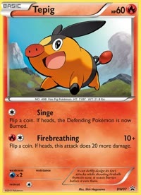 Tepig BW07