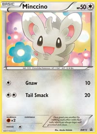 Minccino BW13