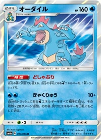 オーダイル SM6b 017