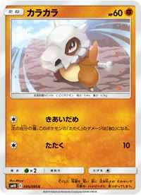 カラカラ SM10 045