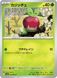 カジッチュ SV9a 009