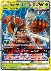 フェローチェ&マッシブーンGX SM12a 001