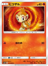 ヒコザル SM5S 017